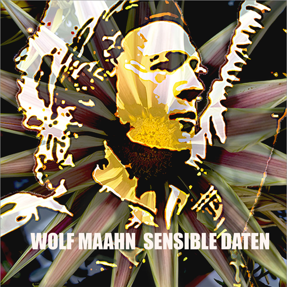 Cover des Albums "Sensible Daten" von Wolf Maahn | Grafik: Pressebereich wolfmaahn.de